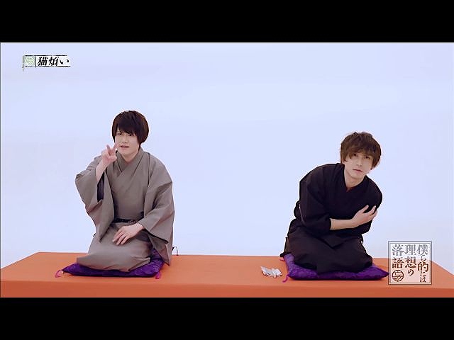 第9回 猫煩い