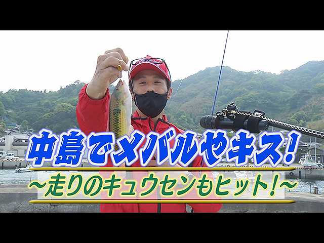 決定版 チョーさんの釣り情報 中島でメバルやキス キュウセンもヒット フジテレビの人気ドラマ アニメ 映画が見放題 Fod