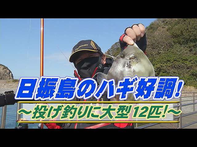 日振島のハギ好調!投げ釣りに大型12匹!