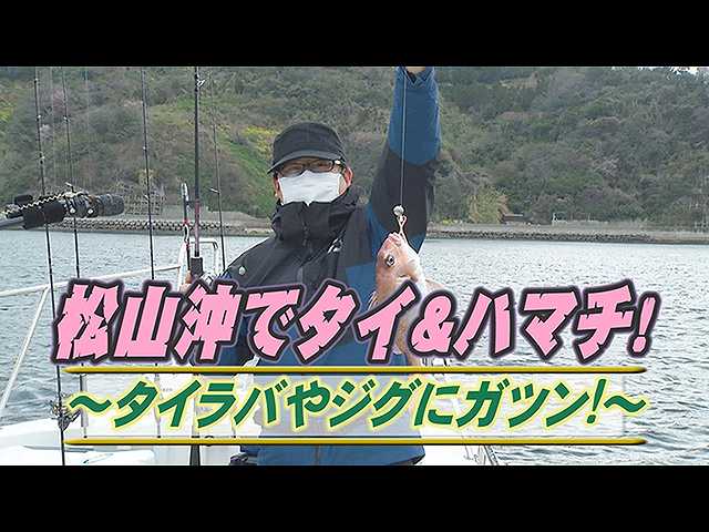 松山沖タイ&ハマチ!タイラバやジグにガツン