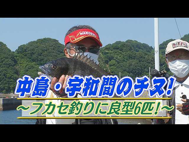 中島・宇和間のチヌ!フカセ釣りに良型6匹!