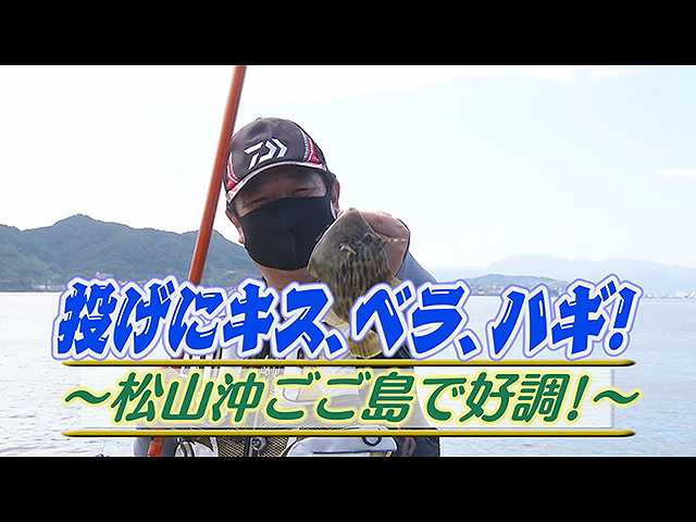 投げにキス、ベラ、ハギ!松山沖ごご島好調!