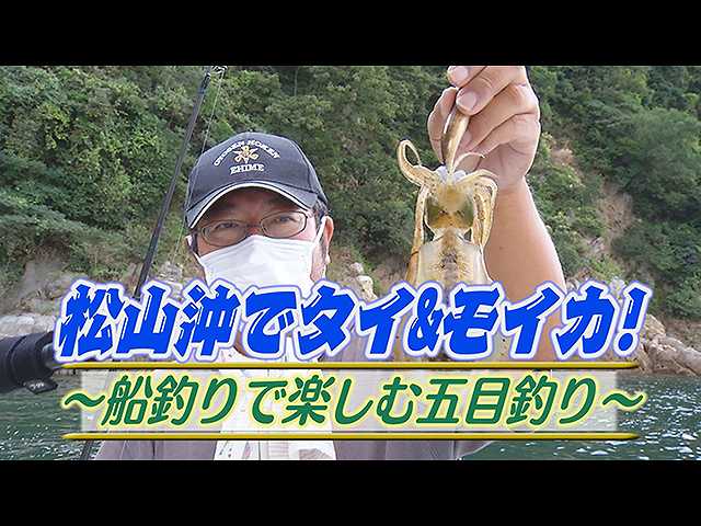 松山沖タイ&モイカ!船釣り楽しむ五目釣り
