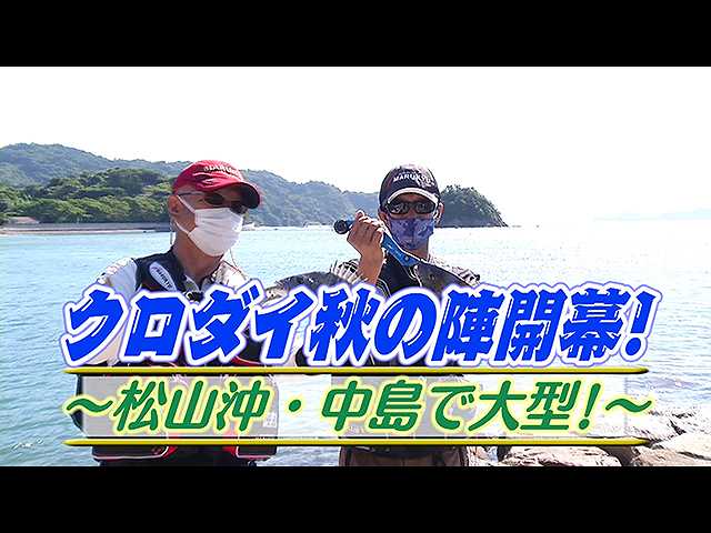 クロダイ秋の陣開幕!松山沖・中島で大型!