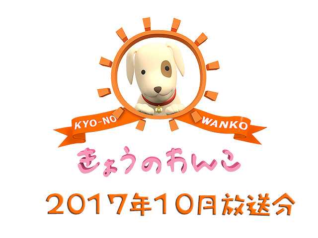 2017年10月放送分 きょうのわんこ