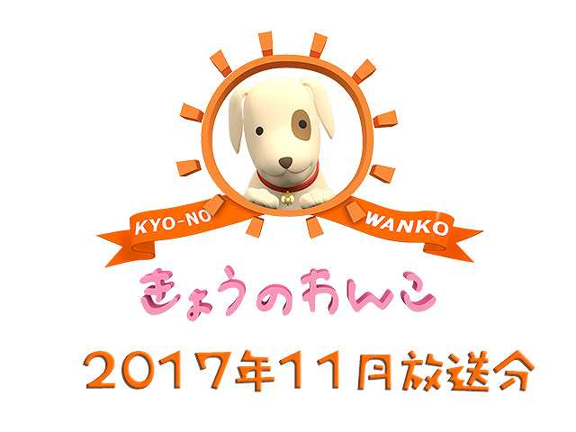 2017年11月放送分 きょうのわんこ
