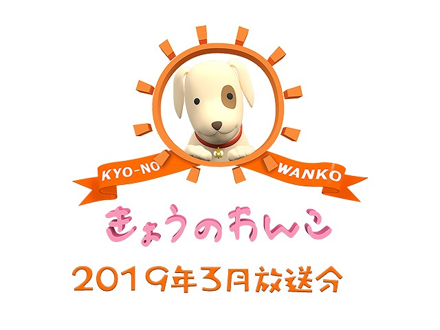 2019年3月放送分 きょうのわんこ