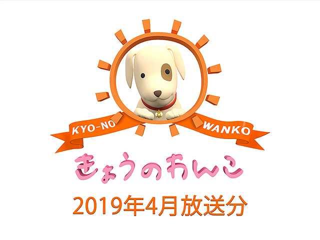 2019年4月放送分 きょうのわんこ