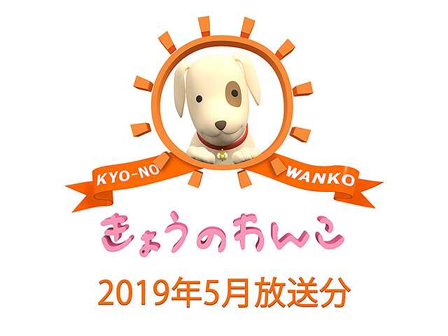 2019年5月放送分 きょうのわんこ