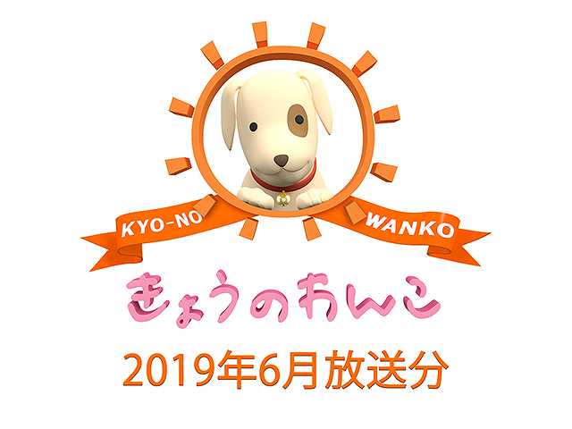 2019年6月放送分 きょうのわんこ