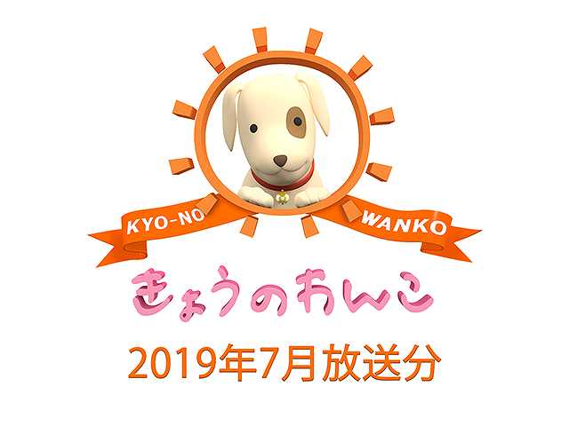 2019年7月放送分 きょうのわんこ