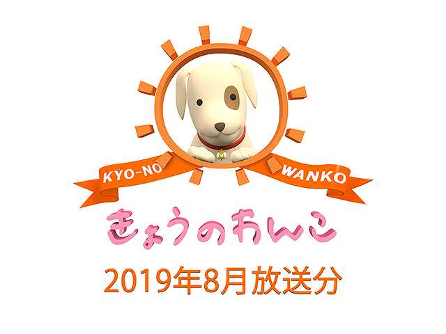 2019年8月放送分 きょうのわんこ
