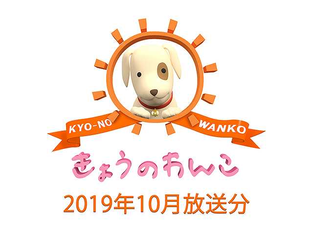 2019年10月放送分 きょうのわんこ