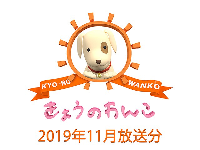 2019年11月放送分 きょうのわんこ