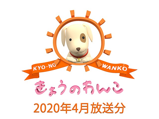 2020年4月放送分 きょうのわんこ