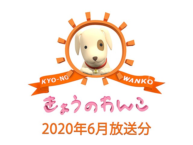 2020年6月放送分 きょうのわんこ