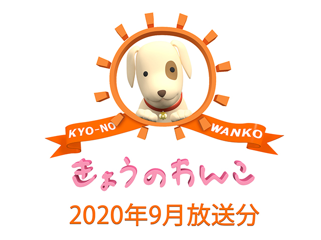 2020年9月放送分 きょうのわんこ