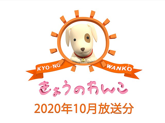 2020年10月放送分 きょうのわんこ