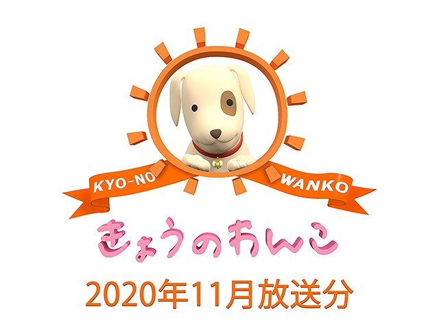 2020年11月放送分 きょうのわんこ