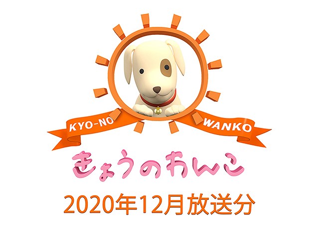 2020年12月放送分 きょうのわんこ