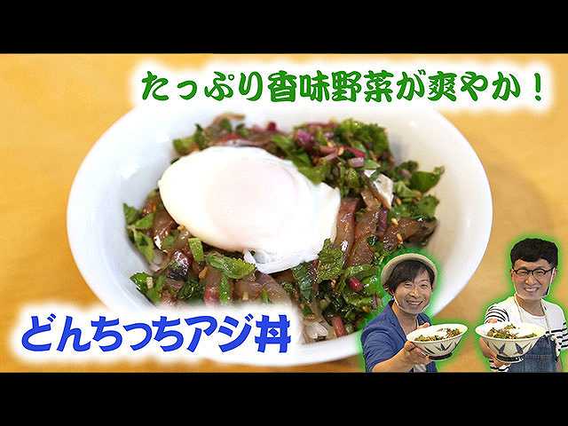 #22 どんちっちアジ丼
