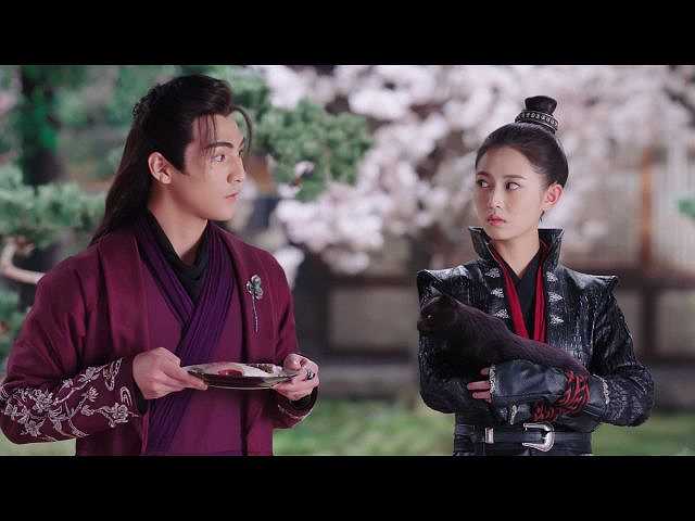 第10話 (字幕版)共犯は猫
