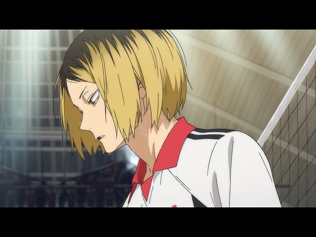 第17話 「ネコVSサル」