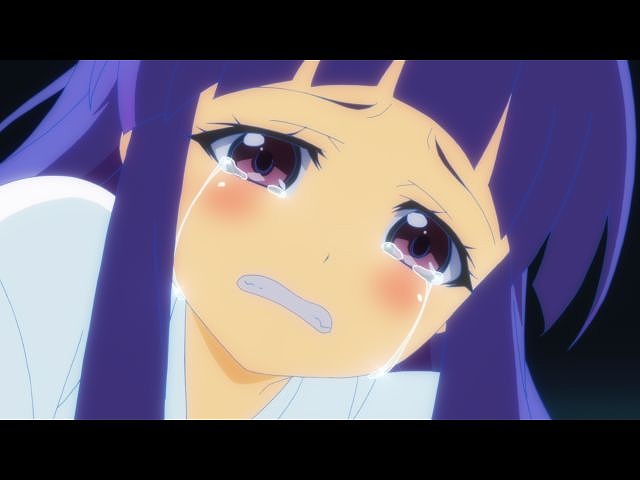 第14話 猫騙し編 其の壱