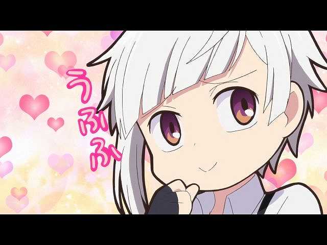 12 第12わん!