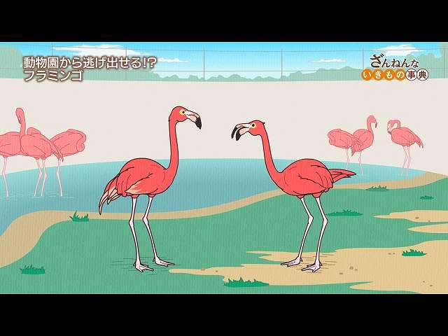 EP1~EP5