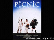 PiCNiC完全版