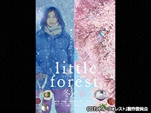リトル・フォレスト 冬・春