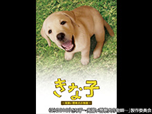 きな子~見習い警察犬の物語~