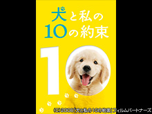 犬と私の10の約束
