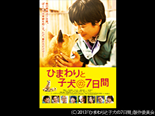 ひまわりと子犬の7日間