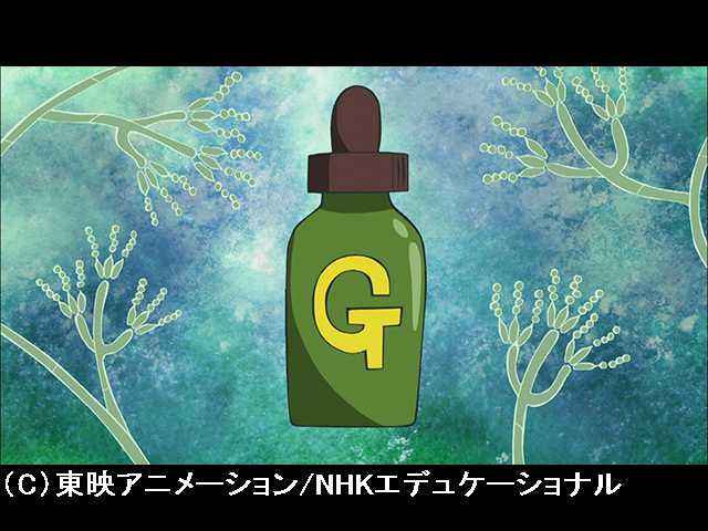 #23 ガリバ薬局?
