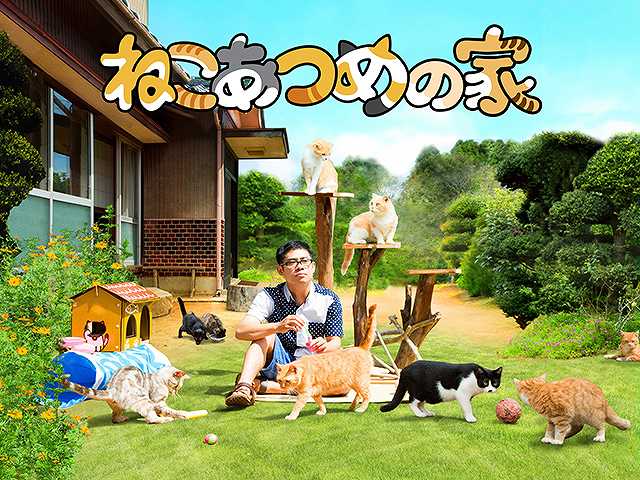 ねこあつめの家