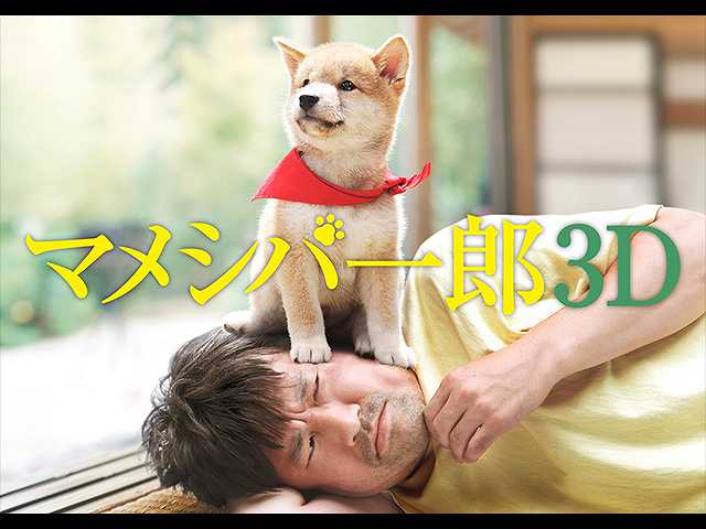 映画版マメシバ一郎