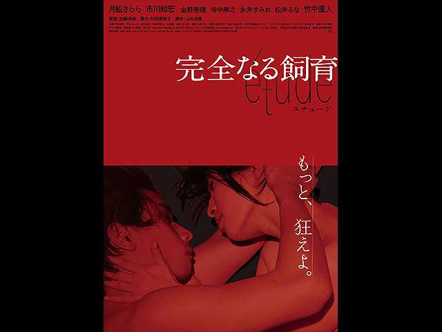完全なる飼育 etude