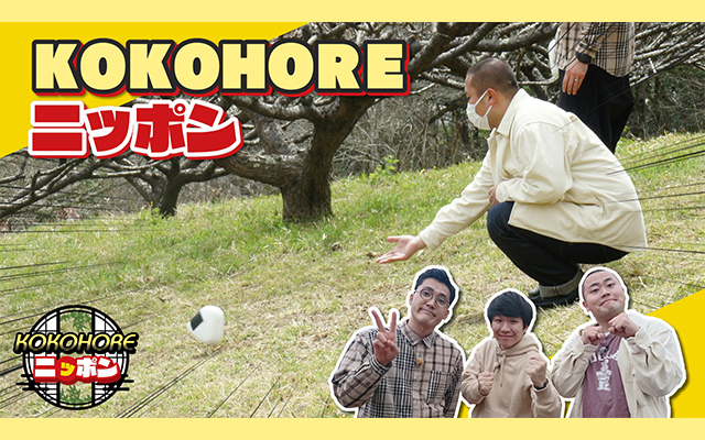 KOKOHOREニッポン