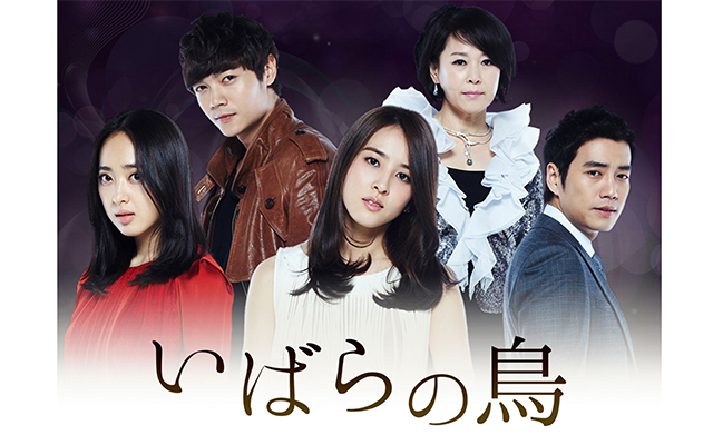 ドクターズ 恋する気持ち の韓国ドラマ無料動画を配信しているサービスはここ 動画作品を探すならaukana